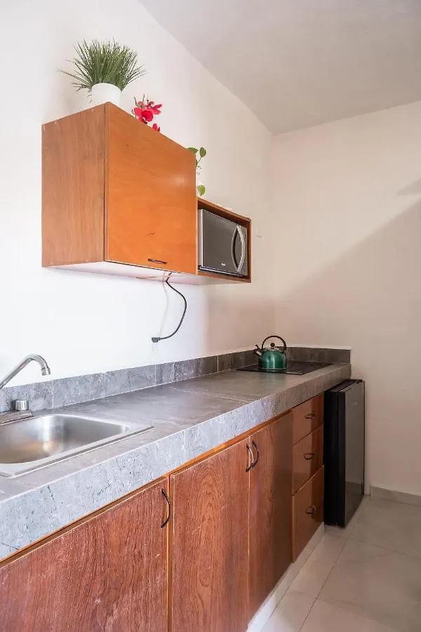 Maui Hostels Playa Del Carmen Aparthotel