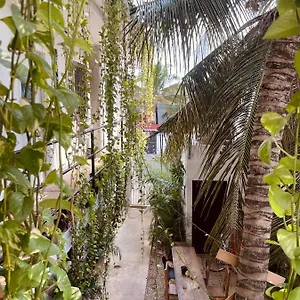 Anana Coliving Messico